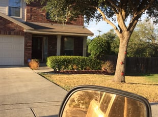 Bush Trimming by Greg Hopper for Gary P. in Universal City, TX