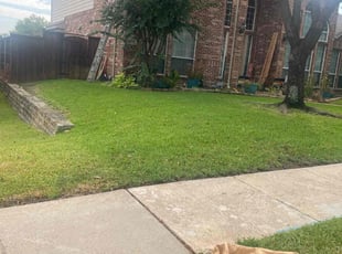 Christopher M.'s Yard Cutting service result