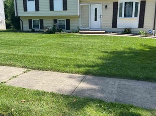 Kaye W.'s Lawn Maintenance service result