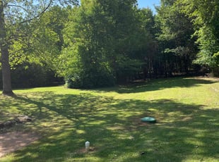 Tre D.'s Lawn Mowing Service service result