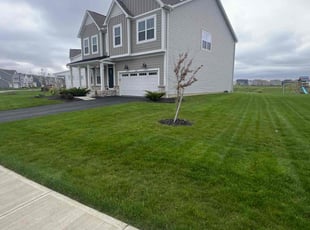 Shauna G.'s Lawn Care service result