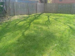 Maria V.'s Lawn Maintenance service result