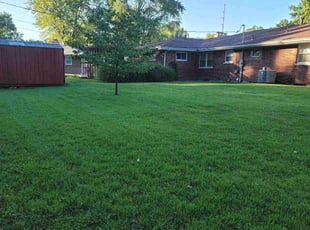 Carrie S.'s Yard Cutting service result