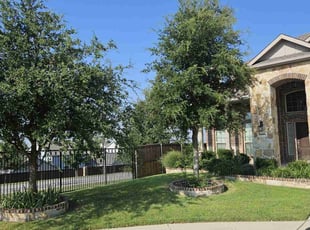 Israel R.'s Grass Cutting service result
