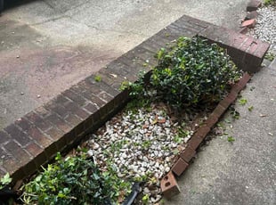 Bush Trimming by Samarrio Conney for Mattie S. in Jonesboro, GA
