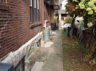 Bush Trimming by Matt Brady for Franklin B. in Philadelphia, PA