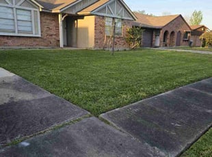 Kellie L.'s Yard Cutting service result