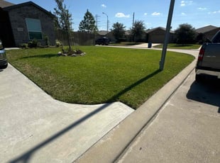 Tyrone M.'s Yard Cutting service result