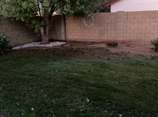 Weeding by Andrew Hoodzow for Casey L. in Mesa, AZ