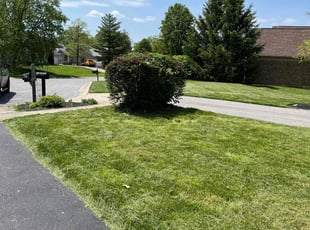 Bush Trimming by Keith Vickers for Brandon A. in Cincinnati, OH