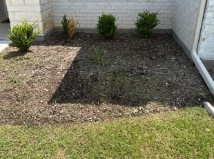 Weeding by Kendarius Williams for marcus h. in Azle, TX