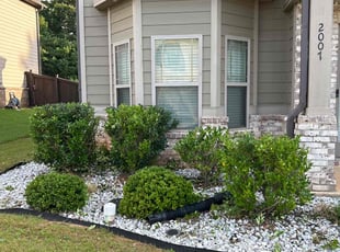 Bush Trimming by Daren Barkley for Sharnicea T. in McDonough, GA