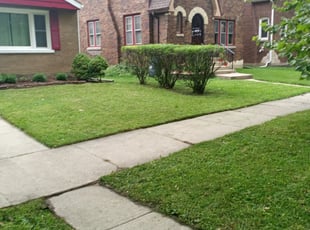 Bush Trimming by Maria Torres for Kim G. in Brookfield, IL
