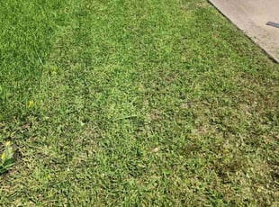 HYUNSOOK C.'s Lawn Mowing service result