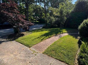 Calvin H.'s Lawn Care service result