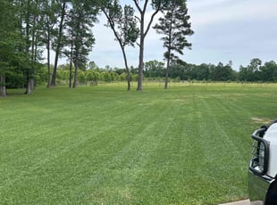 Rachel T.'s Lawn Service service result