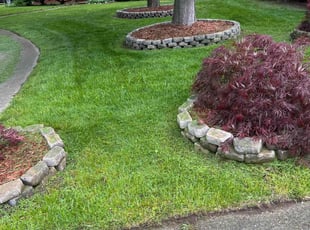 Noel L.'s Yard Cutting service result