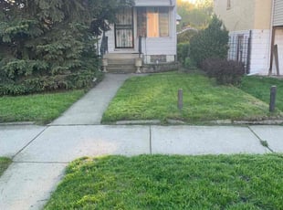 Sandra N.'s Lawn Care service result