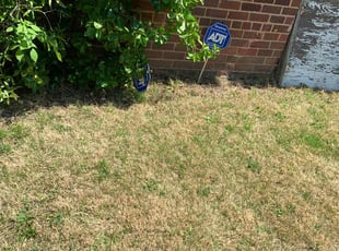 Leaf Removal by Jaimel Peace for John P. in Washington, DC