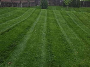 Josie H.'s Lawn Service service result