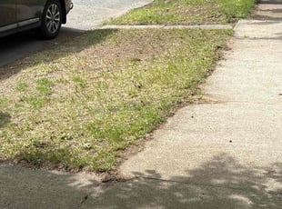 Leaf Removal by Kevin Chapman for Jeremy R. in Springfield, MA