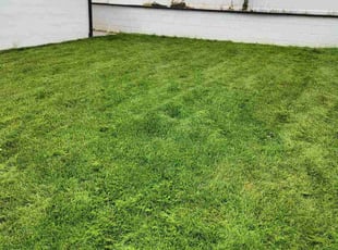 Ruby R.'s Lawn Care service result