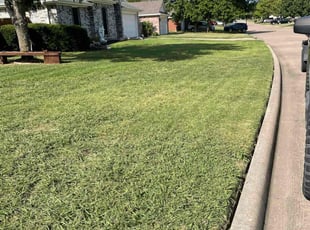 Martynka S.'s Lawn Mowing service result