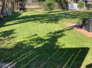 Andy D.'s Lawn Mowing service result