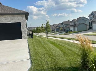 Gina p.'s Lawn Care service result
