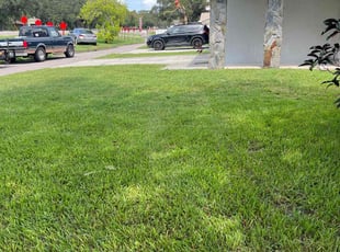 Carole T.'s Lawn Service service result