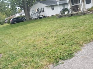 Cleanups by Scott Ruch for Carl M. in Columbus, OH