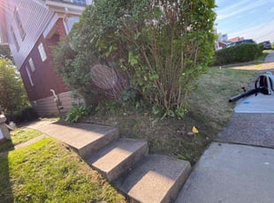 Bush Trimming by Vincent Daniele for Daphane V. in Pittsburgh, PA
