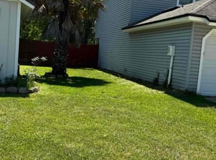 Ross F.'s Lawn Care service result