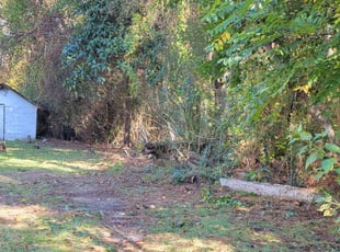 Bush Trimming by Jennifer Miller for Frank E. in Mobile, AL