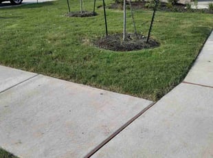 Randy C.'s Lawn Mowing service result