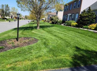 Remy W.'s Grass Cutting service result