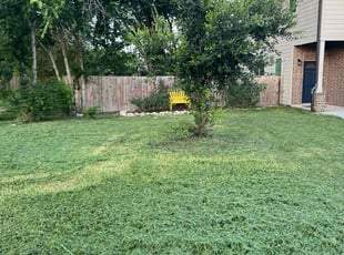 Wenitra M.'s Lawn Maintenance service result