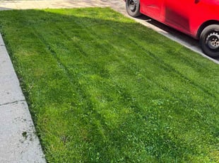 Francis T.'s Lawn Service service result