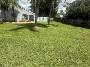 Susie B.'s Yard Cutting service result