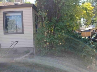 Bush Trimming by Brian Burrows for Jim S. in Salt Lake City, UT