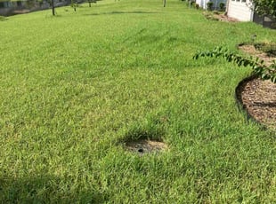 Rafael A.'s Lawn Mowing Service service result