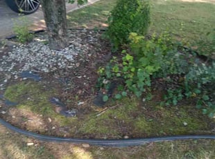 Weeding by Jeremy Love for Ed H. in Villa Rica, GA