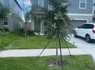 Brian T.'s Grass Cutting service result