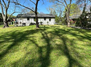 Jordana T.'s Yard Cutting service result