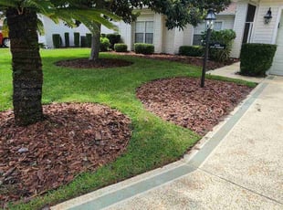 Mulching by Robert Nelams for Peggy L. in Leesburg, FL