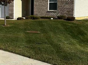 Bush Trimming by Blake Jordan for Jelani W. in Whitestown, IN