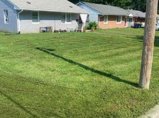 Dominique L.'s Lawn Service service result