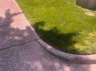 Steve W.'s Lawn Mowing service result