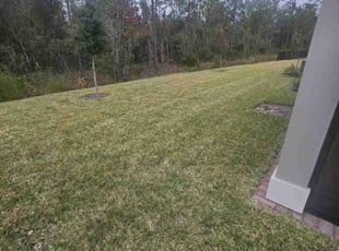 Kathy W.'s Lawn Service service result