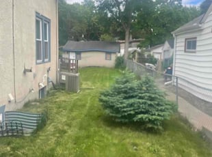 Claire S.'s Lawn Maintenance service result